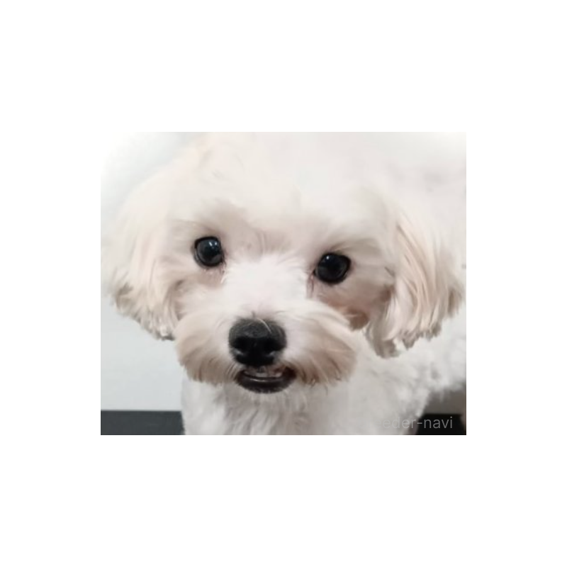 クララちゃん1枚目